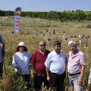 Mersin’de buğday tarlasına kitap