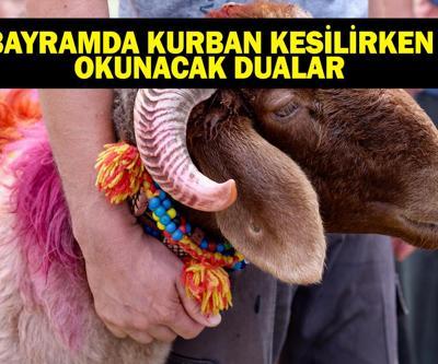 KURBAN KESİLİRKEN OKUNACAK DUA: Kurban Bayramında Kurban Kesilirken Hangi Dualar Okunur, Nasıl Kesilir Kurban Kesimi Adabı: Dualar, Niyet ve Dini Hükümler